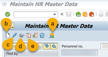 Maintain HR Master Data OOL icons