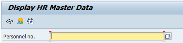 Display HR Master Data Personnel number field